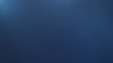 davdao3 online show from November 2, 9:11 am