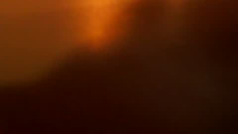 davdao3 online show from December 22, 7:16 am