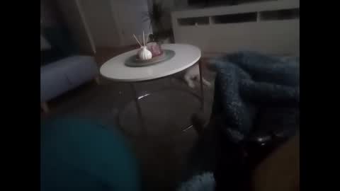 davf76 online show from February 19, 8:10 am