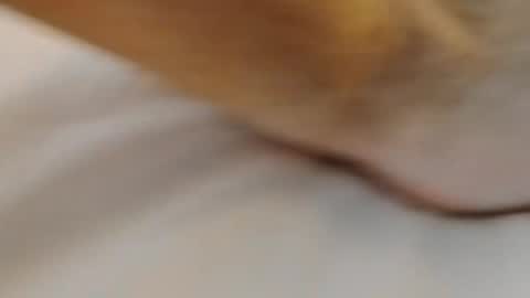 Snapshot of david1982yesyes chatting on March 2, 2:02 pm david1982yesyes online show from March 2, 2:02 pm