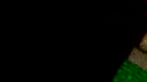 david1982yesyes online show from April 16, 12:39 pm