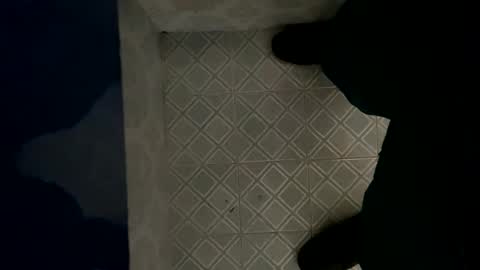 Snapshot of davzsoher chatting on January 6, 8:07 pm davzsoher online show from January 6, 8:07 pm