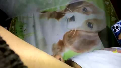 Snapshot of davzsoher chatting on January 10, 2:04 am davzsoher online show from January 10, 2:04 am