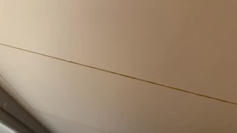 Hornybear online show from January 15, 7:02 am