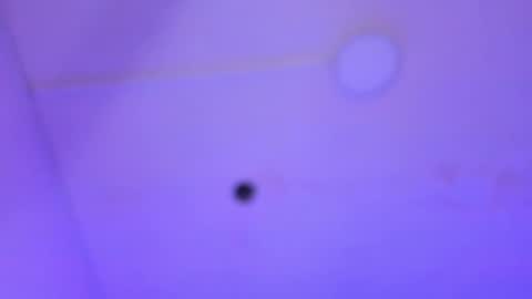 dayana_harlow2 online show from January 16, 1:16 am