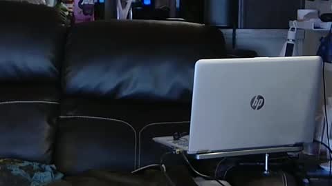 want girl to play with me online show from February 6, 11:48 pm