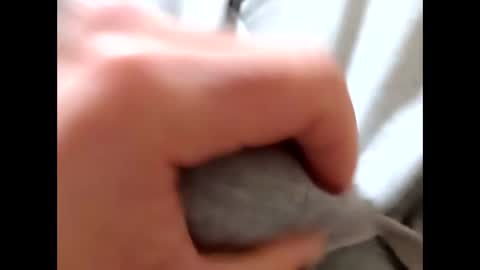 deliv_shopi online show from January 8, 10:39 am