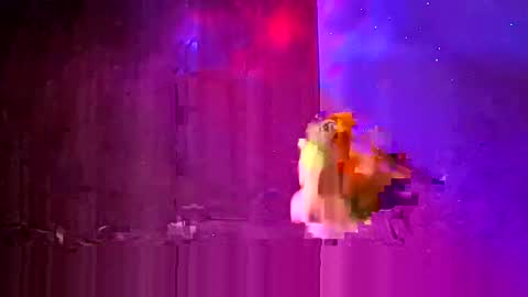 den2807 online show from March 24, 12:15 am