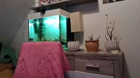 Denise and Brad online show from February 3, 5:07 pm