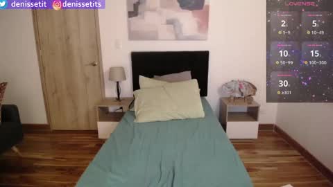 Snapshot of denissetits chatting on January 25, 11:54 pm online show from January 25, 11:54 pm