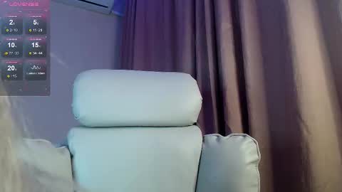 Snapshot of des_ch chatting on January 6, 5:27 pm Ari online show from January 6, 5:27 pm