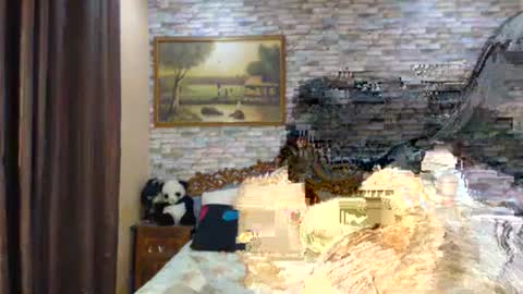 Rose online show from February 17, 10:29 am