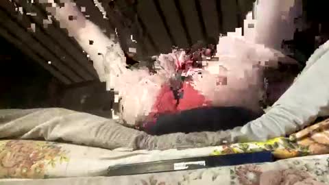 deviantlyourz online show from October 22, 9:31 am