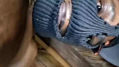 Snapshot of dhbbc454336 chatting on October 2, 7:15 am Marcus D-von Steel as the raunchy ass sniffer thrill me with your online show from October 2, 7:15 am