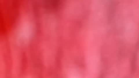 Snapshot of dhbbc454336 chatting on January 12, 10:42 am Marcus D-von Steel as the raunchy ass sniffer thrill me with your online show from January 12, 10:42 am