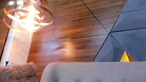 Snapshot of diamond_black19 chatting on January 14, 2:11 pm Camila and Megan online show from January 14, 2:11 pm