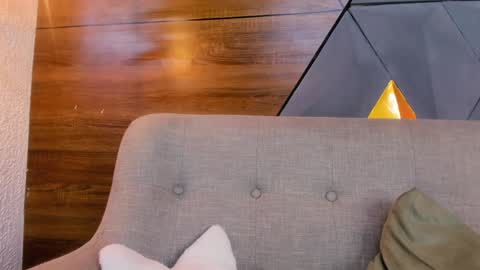 Snapshot of diamond_black19 chatting on January 30, 2:04 pm Camila and Megan online show from January 30, 2:04 pm