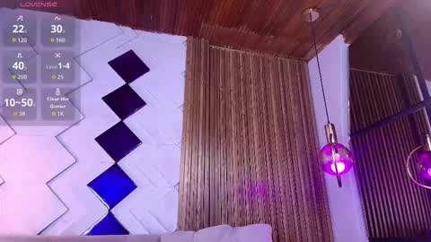 Snapshot of diamond_black19 chatting on November 22, 7:02 pm Camila and Megan online show from November 22, 7:02 pm