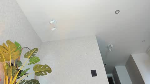 dianac1998 online show from January 5, 9:18 pm