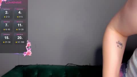 Snapshot of dianne_davis chatting on January 25, 2:36 pm Dianne online show from January 25, 2:36 pm