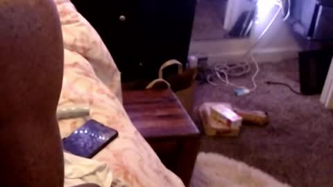 Snapshot of dickgiggler chatting on May 3, 4:40 am Sparkx online show from May 3, 4:40 am