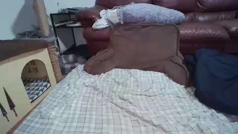 Snapshot of dickslayerdan chatting on November 22, 12:31 am dickslayerdan online show from November 22, 12:31 am