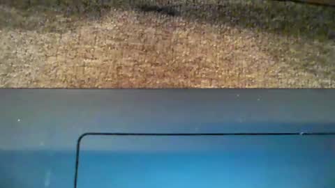 Snapshot of dicky_doo2 chatting on January 5, 1:04 pm Bigmick online show from January 5, 1:04 pm