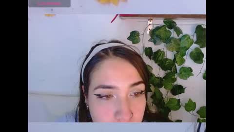 Dicmonlu online show from December 16, 3:33 am