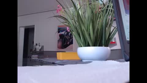 Snapshot of didiegal chatting on November 1, 10:28 am squirtcock online show from November 1, 10:28 am