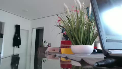 squirtcock online show from April 12, 11:59 am