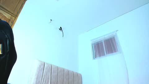 Diego online show from October 12, 12:59 pm