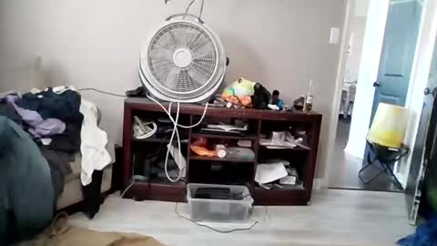 Daddy online show from March 19, 8:46 pm