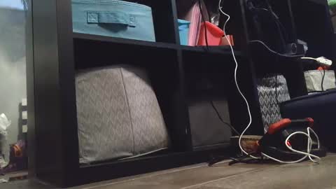 Snapshot of dirtydaisy1998 chatting on December 27, 11:21 pm Daisy Wylde online show from December 27, 11:21 pm