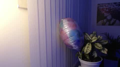 Hera online show from October 24, 10:11 am