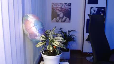 Hera online show from November 28, 10:07 am