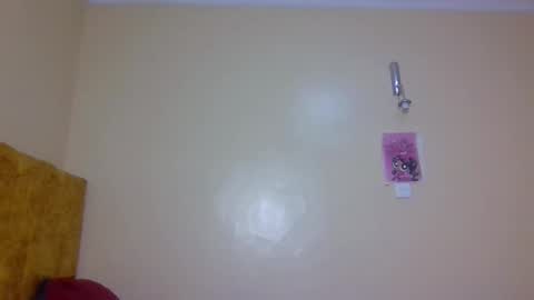 Dixie online show from April 7, 7:47 pm