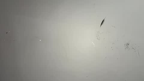 dixkzilla online show from February 20, 2:52 am