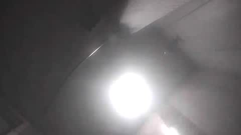 dixonbird41 online show from April 17, 9:45 am