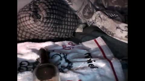 Snapshot of djangodave569829 chatting on October 4, 11:25 pm djangodave569829 online show from October 4, 11:25 pm