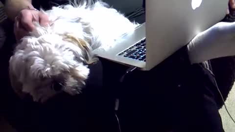 DKdad online show from December 4, 3:43 pm