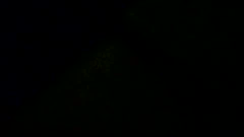 Snapshot of doby2020 chatting on December 16, 11:10 pm Doby online show from December 16, 11:10 pm