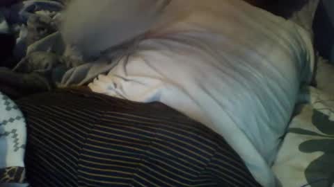 Snapshot of dockomodo77 chatting on December 3, 8:56 am Alex online show from December 3, 8:56 am