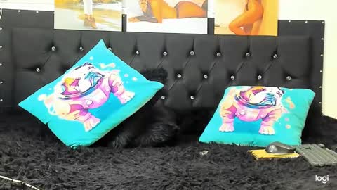 Snapshot of doll_celeste19 chatting on December 22, 4:06 pm C E L E S T E online show from December 22, 4:06 pm