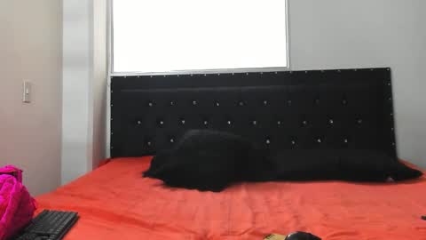 Snapshot of doll_celeste19 chatting on October 8, 7:11 pm C E L E S T E online show from October 8, 7:11 pm