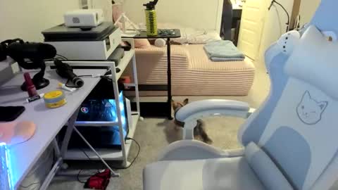 DOLLLFACE online show from March 22, 1:53 am