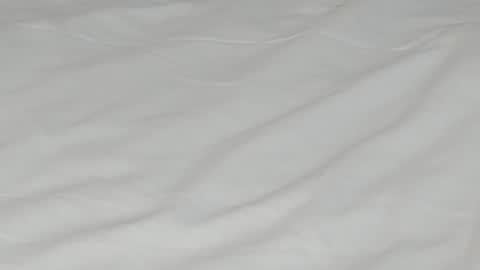 Camila Roushell online show from March 27, 3:12 pm