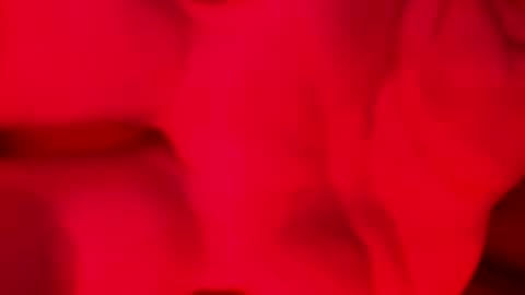 Snapshot of domingodelluvia chatting on November 17, 2:06 am Alzest online show from November 17, 2:06 am