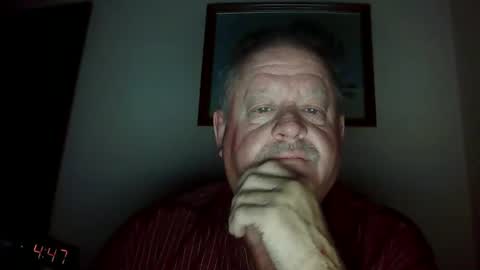 domino81212 online show from December 4, 10:46 am