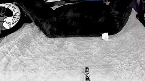 Snapshot of doomednympho chatting on March 4, 5:56 pm DOOM online show from March 4, 5:56 pm