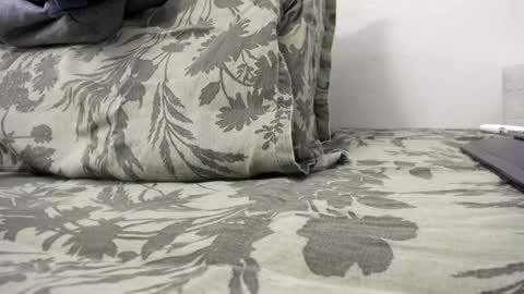 menu  below online show from December 31, 2:47 pm